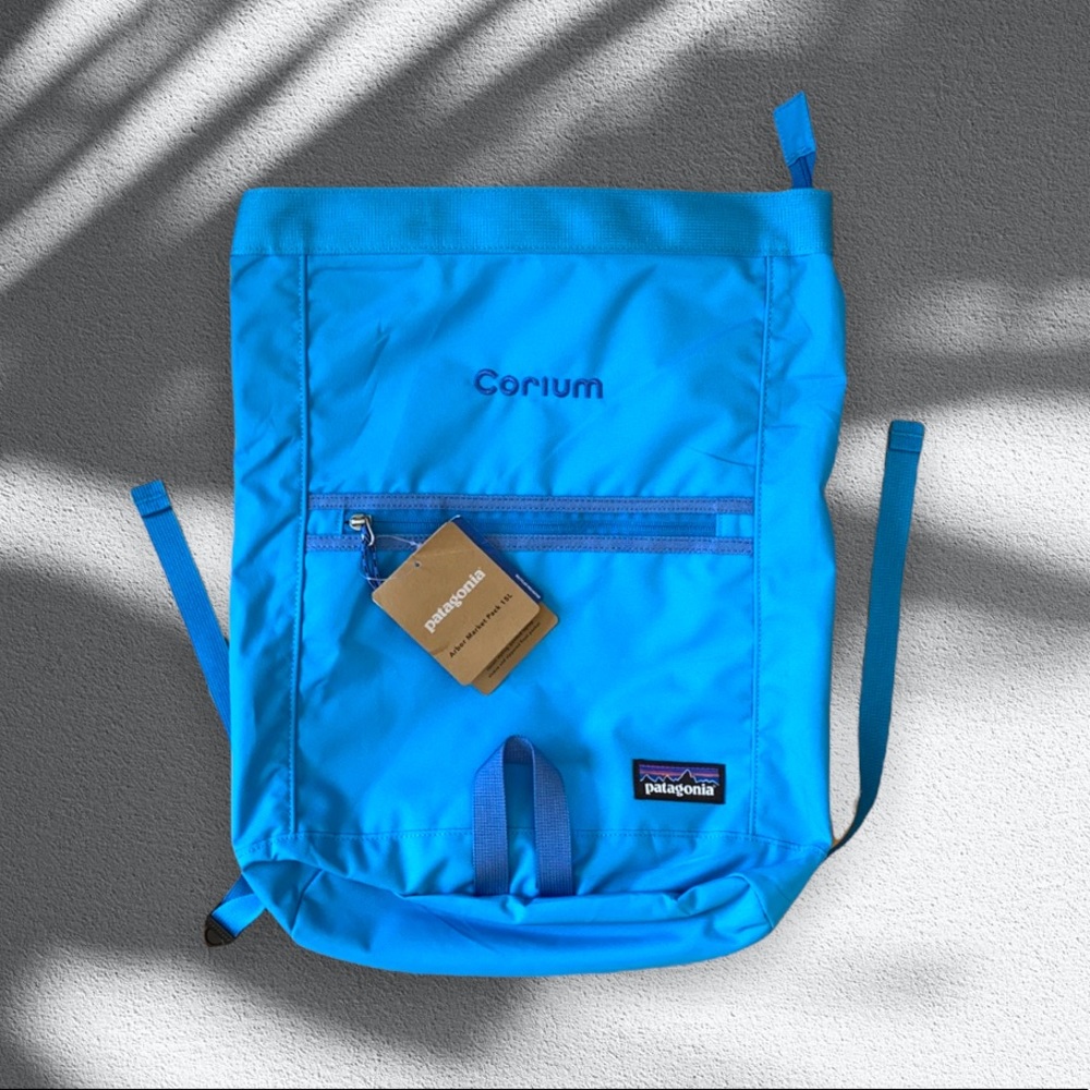 Patagonia Blue Backpack